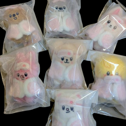 【4/29（水･祝）】Stray Kids/STAY in Our Little House 10㎝ PLUSH  【ラララリニューアルオープン販売情報】