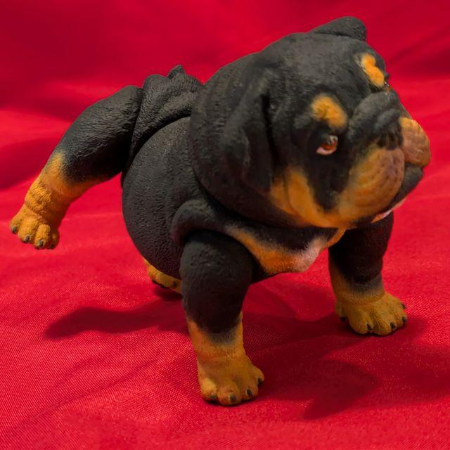 tmpB0F5.tmp.jpg