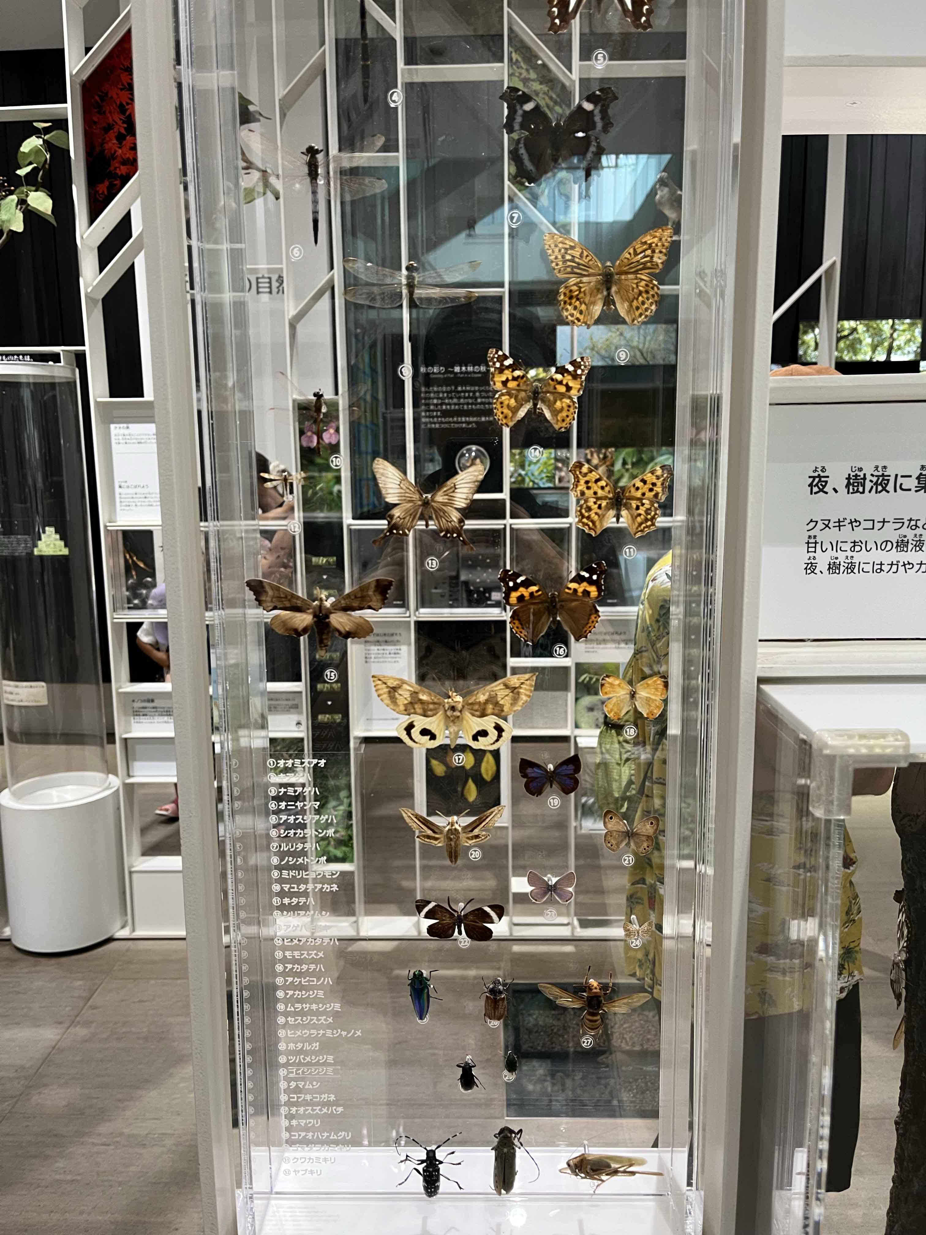 IMG_2593 のコピー.jpg