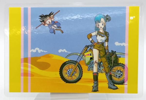 ｴﾄﾜｰﾙDBﾗﾐｶ【10】.jpg