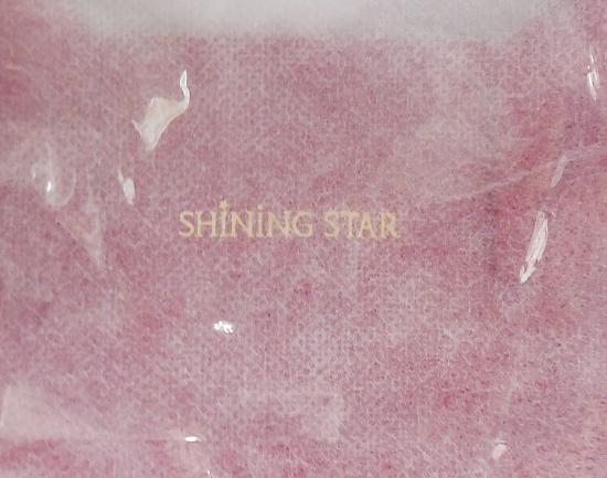 SHINING STARトートバッグ蘭丸 (5).jpg