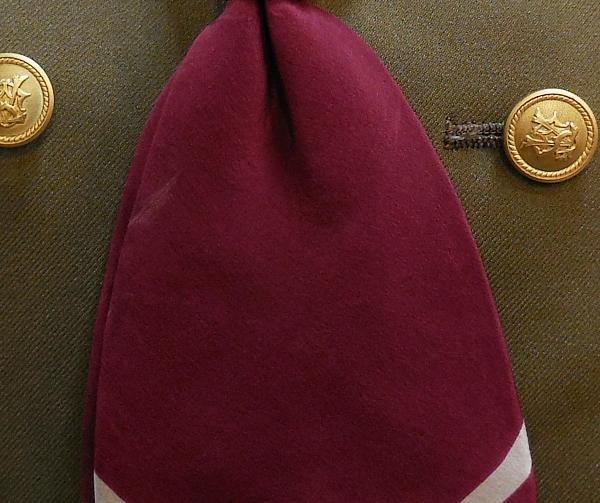 金色のコルダ普通科女子制服 (8).JPG
