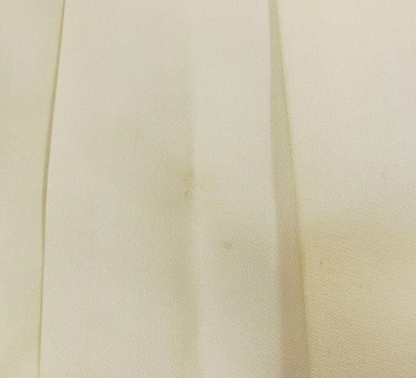金色のコルダ普通科女子制服 (7).JPG