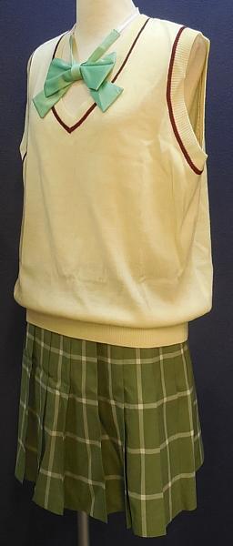 To LOVEるダークネス彩南高校女子制服 夏服 (3).JPG