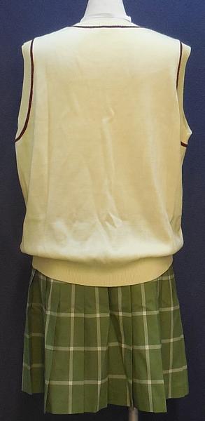 To LOVEるダークネス彩南高校女子制服 夏服 (5).JPG