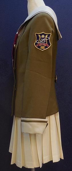 金色のコルダ星奏学院普通科女子制服 (4).JPG