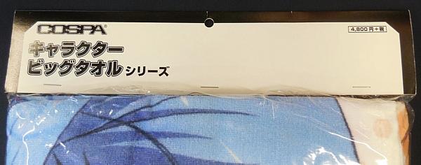 蒼き鋼のアルペジオビッグタオル 水着のタカオ (3).JPG