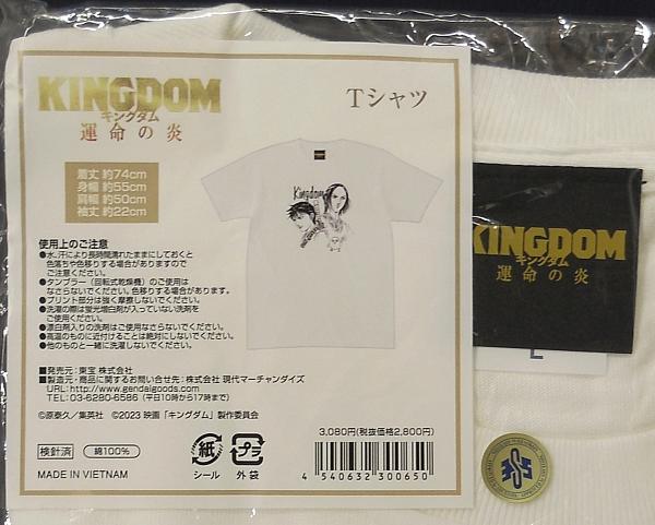 1キングダム運命の炎Tシャツ (2).JPG