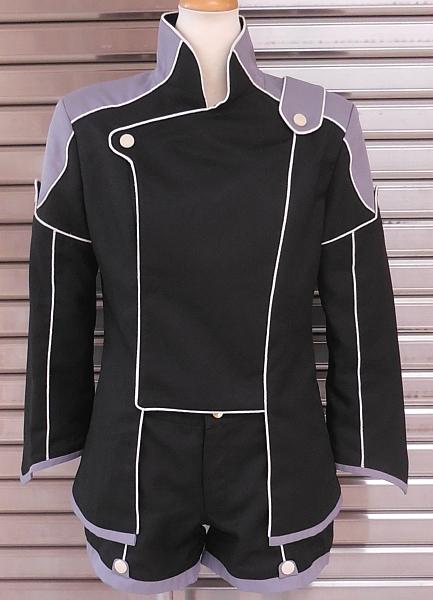 2コードギアスR2カレン黒の騎士団 (1).JPG