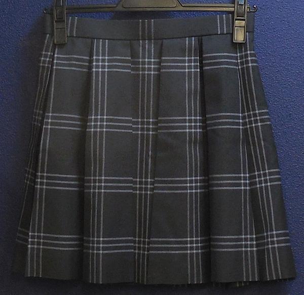 2まどかマギカ女子制服スカート (1).JPG