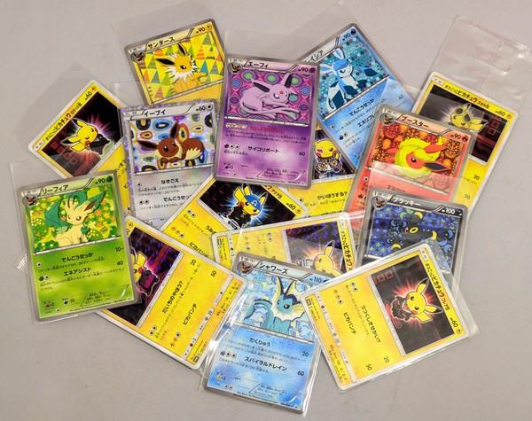 告知用画像POKEMON1修正.jpg