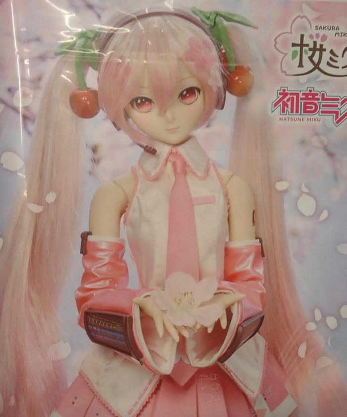 DDミク2 (5).JPG