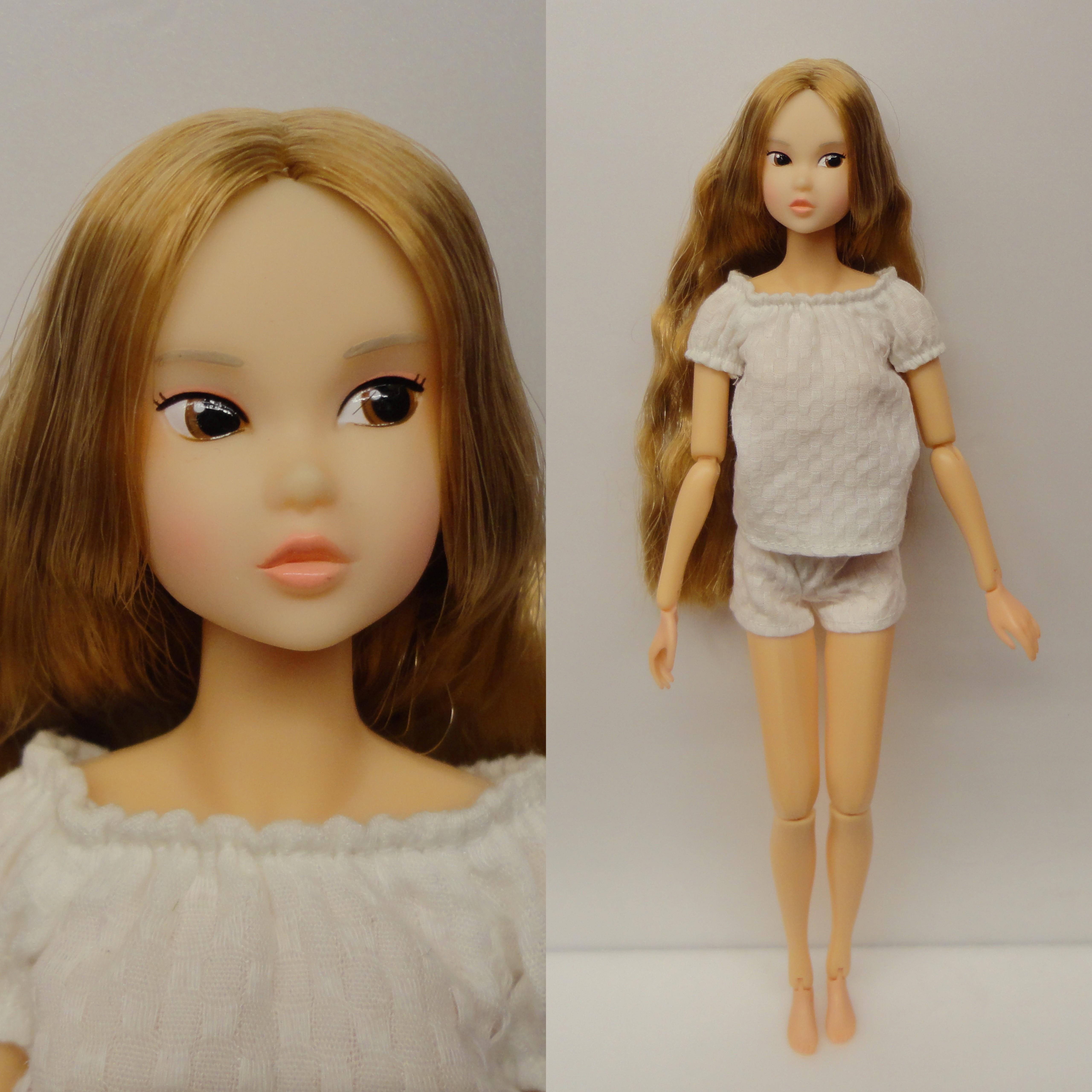 momoko DOLL Today's momoko 1702ペットワークス