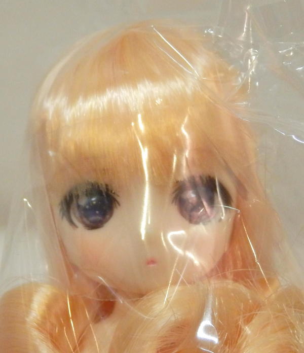 29-PC060031.JPG