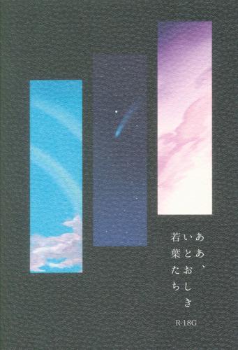 04294831470.jpg