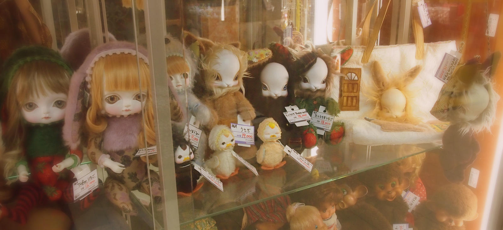 まんだらけ | 中野店 4F ぷらすちっく - 創作人形 福寿コーナー！！