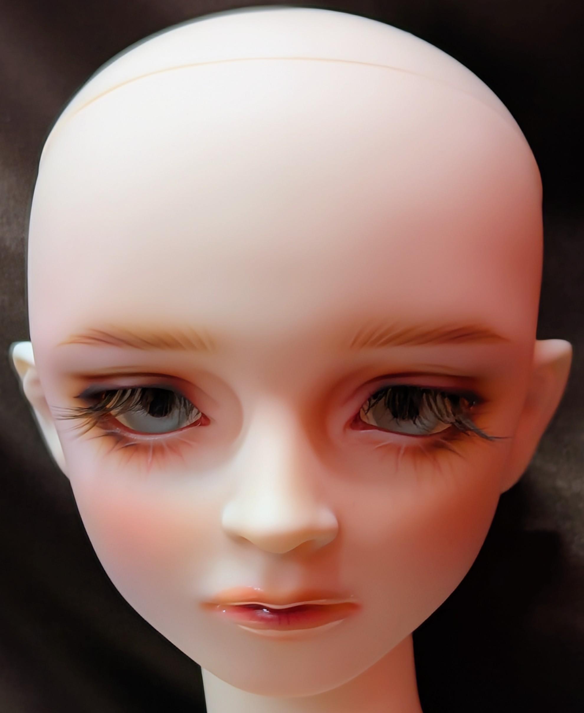 0001695429_3.jpg