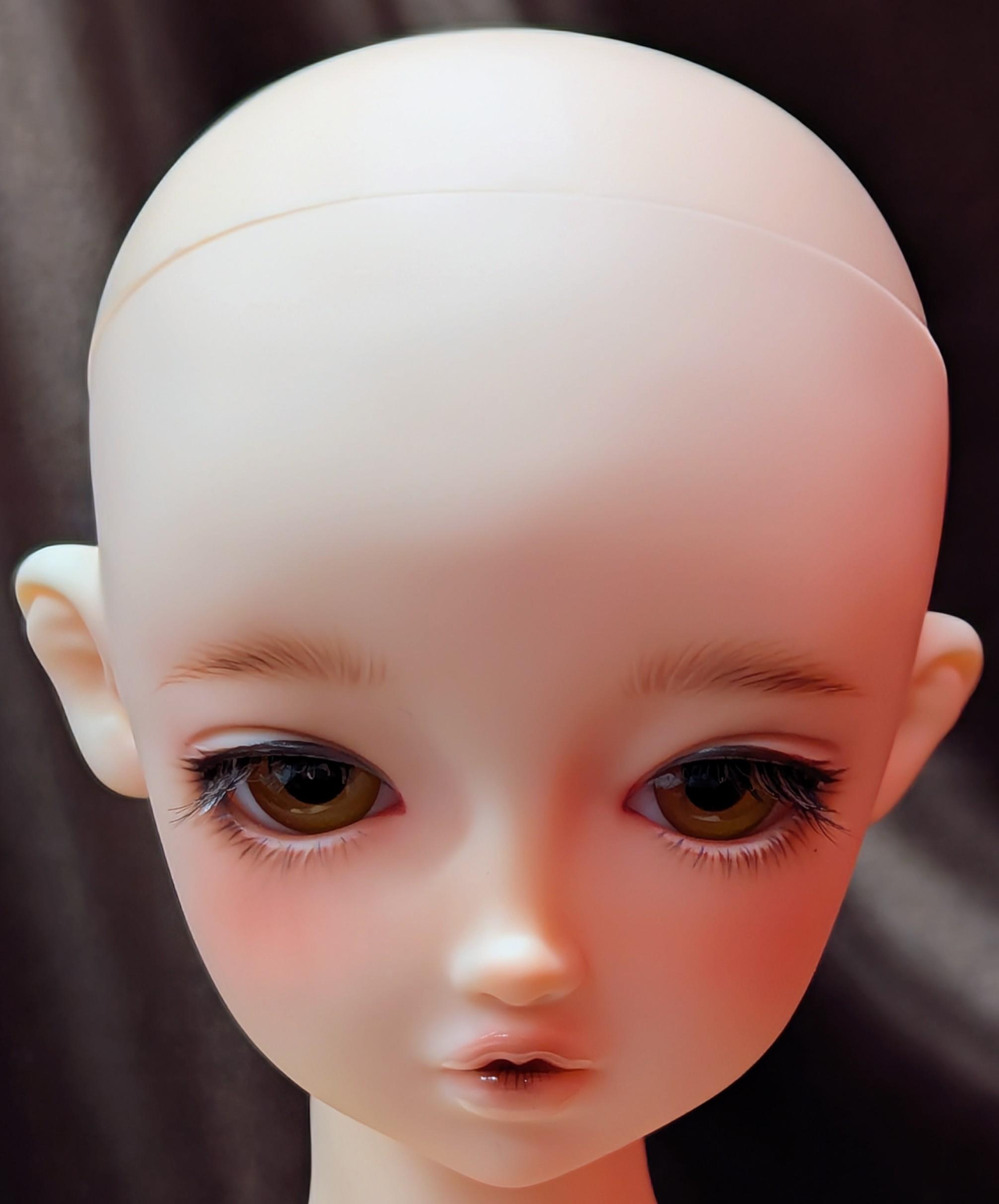0001695729_3.jpg