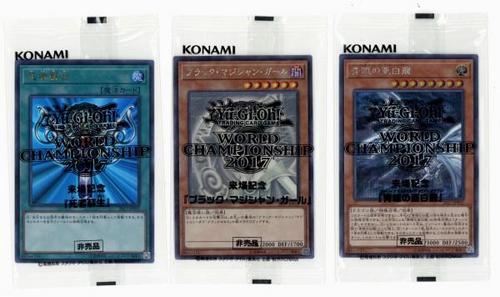 WCS2017　734.jpg