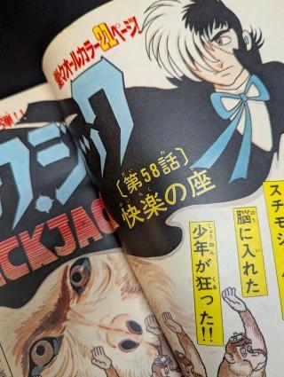 快楽の座.jpg